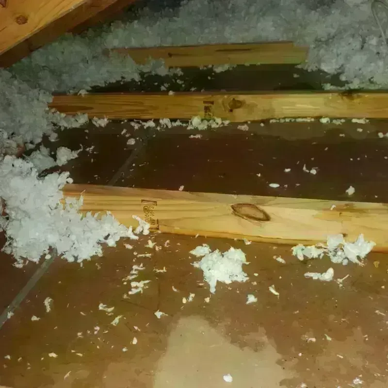 Attic Water Damage in Andover, MA